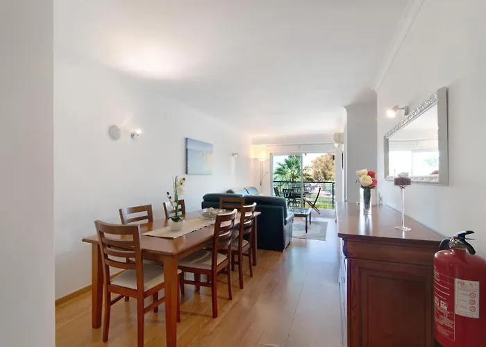 Palm Paradise Salgados *