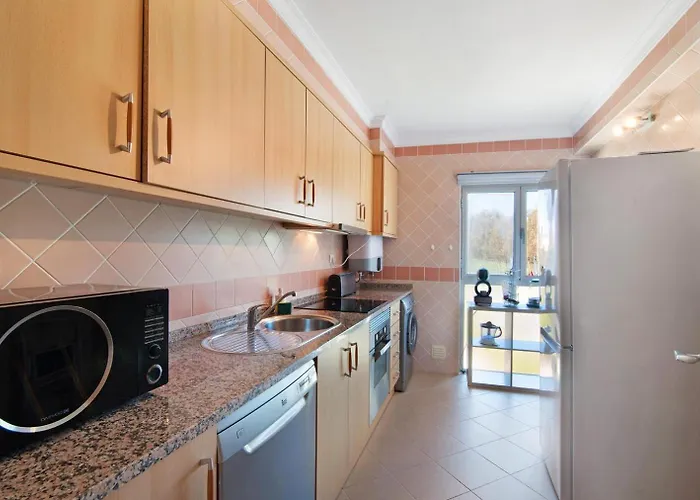 Palm Paradise Salgados