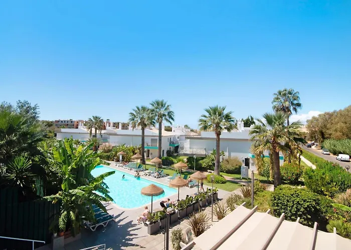 Palm Paradise Salgados