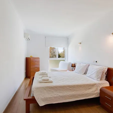 Palm Paradise Salgados