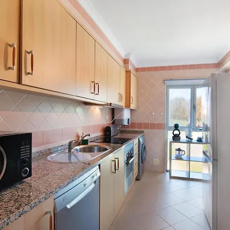 Palm Paradise Salgados