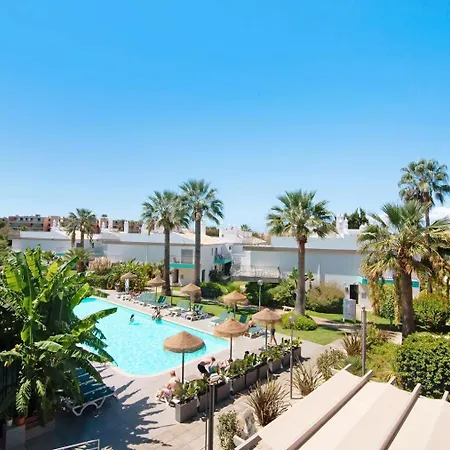 Palm Paradise Salgados